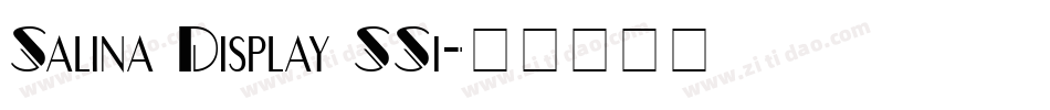 Salina Display SSi字体转换
